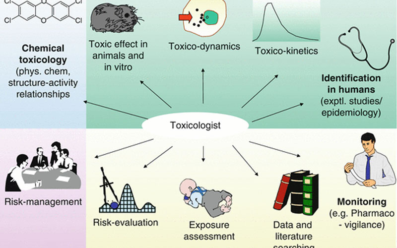 Understanding Regulatory Toxicology