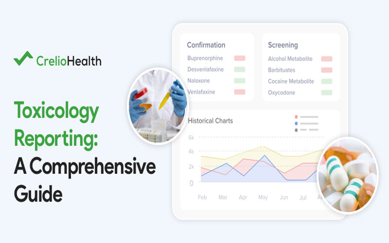 Understanding the Landscape of Toxicology