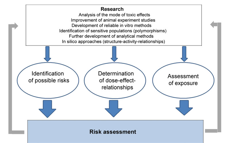 Understanding Toxicological Risk Management